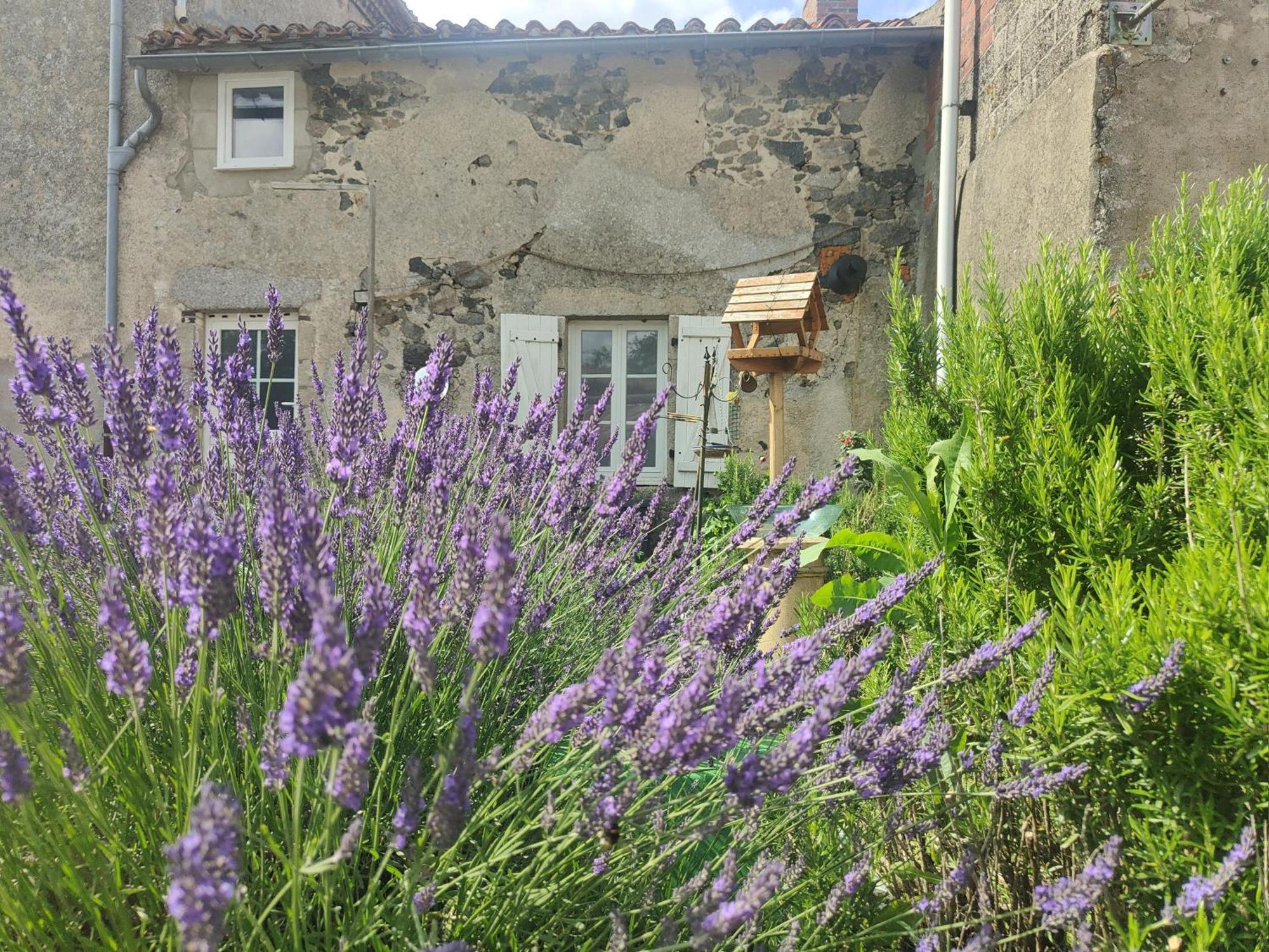 Wisteria House Bed & Breakfast Chanteloup  Exterior photo